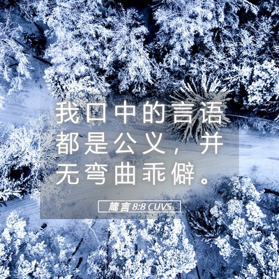 Picture 05 - 箴 言 8:8 CUVS - 我 口 中 的 言 语 都 是 公 义 ， 并 - Bible Verse Picture