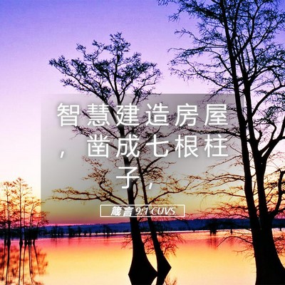 Picture 05 - 箴 言 9:1 CUVS - 智 慧 建 造 房 屋 ， 凿 成 七 根 柱 - Bible Verse Picture