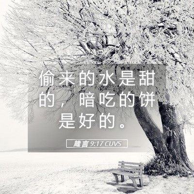 Picture 05 - 箴 言 9:17 CUVS - 偷 来 的 水 是 甜 的 ， 暗 吃 的 饼 - Bible Verse Picture