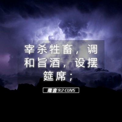 Picture 05 - 箴 言 9:2 CUVS - 宰 杀 牲 畜 ， 调 和 旨 酒 ， 设 摆 - Bible Verse Picture