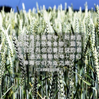 Picture 05 - 约 书 亚 记 1:11 CUVS - 你 们 要 走 遍 营 中 ， 吩 咐 百 姓 - Bible Verse Picture