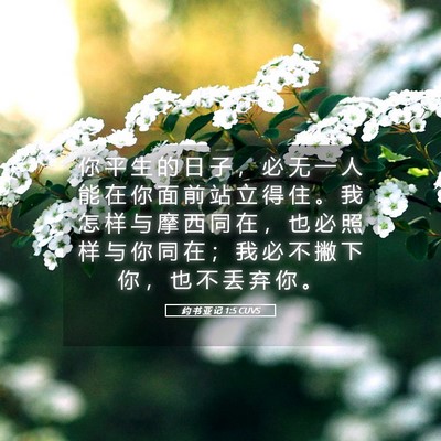 Picture 05 - 约 书 亚 记 1:5 CUVS - 你 平 生 的 日 子 ， 必 无 一 人 能 - Bible Verse Picture