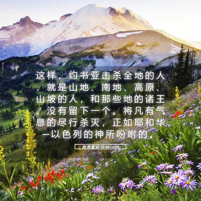Picture 05 - 约 书 亚 记 10:40 CUVS - 这 样 ， 约 书 亚 击 杀 全 地 的 人 - Bible Verse Picture