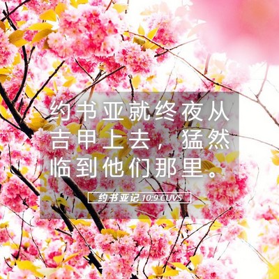 Picture 05 - 约 书 亚 记 10:9 CUVS - 约 书 亚 就 终 夜 从 吉 甲 上 去 ， - Bible Verse Picture
