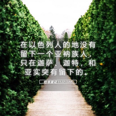 Picture 05 - 约 书 亚 记 11:22 CUVS - 在 以 色 列 人 的 地 没 有 留 下 一 - Bible Verse Picture