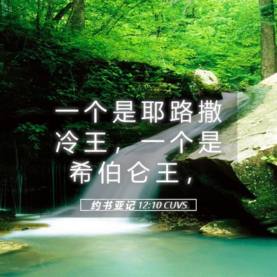Picture 05 - 约 书 亚 记 12:10 CUVS - 一 个 是 耶 路 撒 冷 王 ， 一 个 是 - Bible Verse Picture
