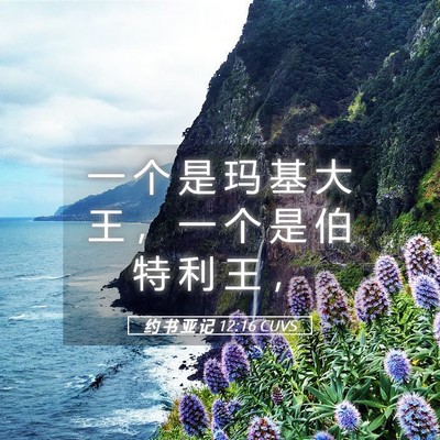 Picture 05 - 约 书 亚 记 12:16 CUVS - 一 个 是 玛 基 大 王 ， 一 个 是 伯 - Bible Verse Picture