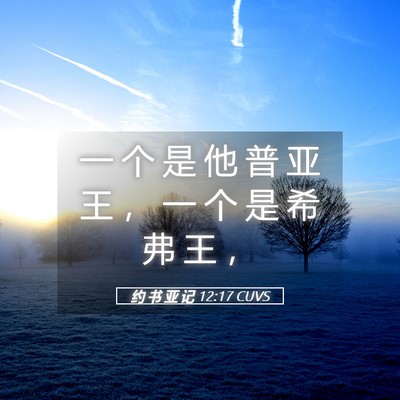 Picture 05 - 约 书 亚 记 12:17 CUVS - 一 个 是 他 普 亚 王 ， 一 个 是 希 - Bible Verse Picture