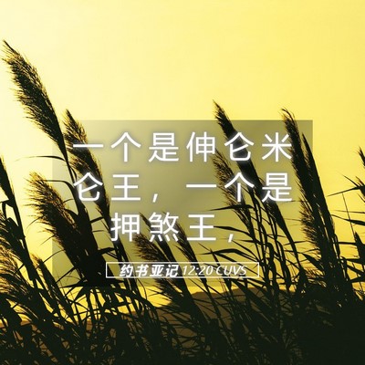 Picture 05 - 约 书 亚 记 12:20 CUVS - 一 个 是 伸 仑 米 仑 王 ， 一 个 是 - Bible Verse Picture