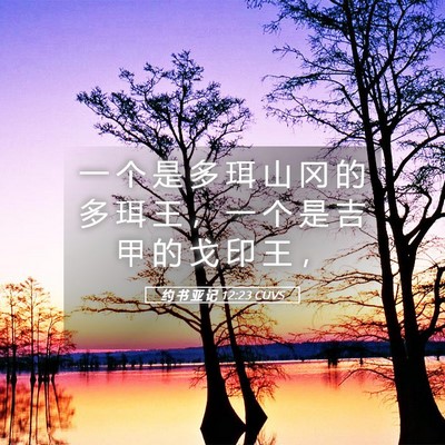 Picture 05 - 约 书 亚 记 12:23 CUVS - 一 个 是 多 珥 山 冈 的 多 珥 王 ， - Bible Verse Picture