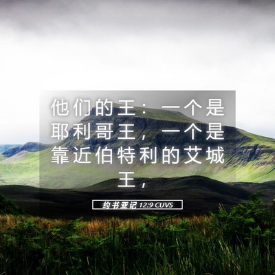Picture 05 - 约 书 亚 记 12:9 CUVS - 他 们 的 王 ： 一 个 是 耶 利 哥 王 - Bible Verse Picture