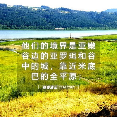 Picture 05 - 约 书 亚 记 13:16 CUVS - 他 们 的 境 界 是 亚 嫩 谷 边 的 亚 - Bible Verse Picture