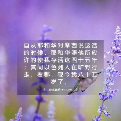 Picture 05 - 约 书 亚 记 14:10 CUVS - 自 从 耶 和 华 对 摩 西 说 这 话 的 - Bible Verse Picture