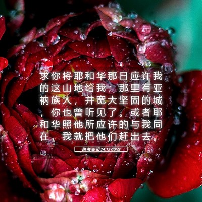 Picture 05 - 约 书 亚 记 14:12 CUVS - 求 你 将 耶 和 华 那 日 应 许 我 的 - Bible Verse Picture