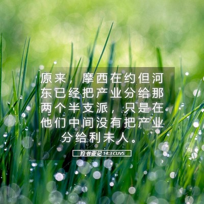Picture 05 - 约 书 亚 记 14:3 CUVS - 原 来 ， 摩 西 在 约 但 河 东 已 经 - Bible Verse Picture