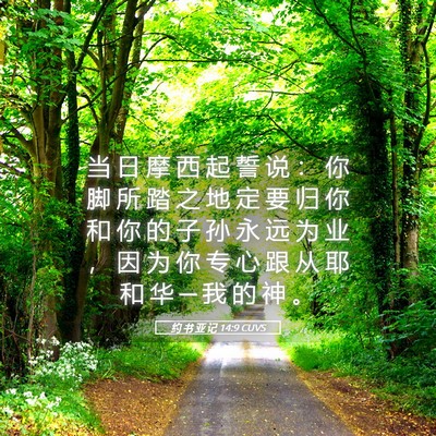 Picture 05 - 约 书 亚 记 14:9 CUVS - 当 日 摩 西 起 誓 说 ： 你 脚 所 踏 - Bible Verse Picture