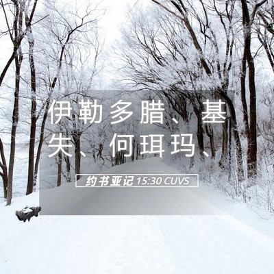Picture 05 - 约 书 亚 记 15:30 CUVS - 伊 勒 多 腊 、 基 失 、 何 珥 玛 - Bible Verse Picture