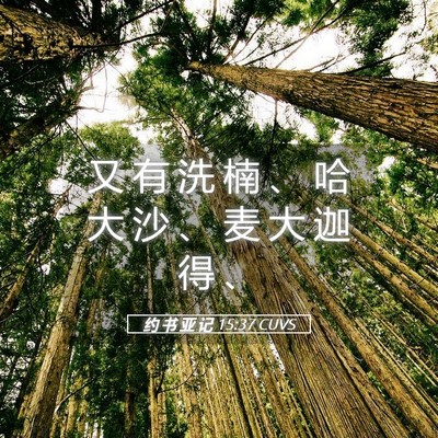 Picture 05 - 约 书 亚 记 15:37 CUVS - 又 有 洗 楠 、 哈 大 沙 、 麦 大 迦 - Bible Verse Picture
