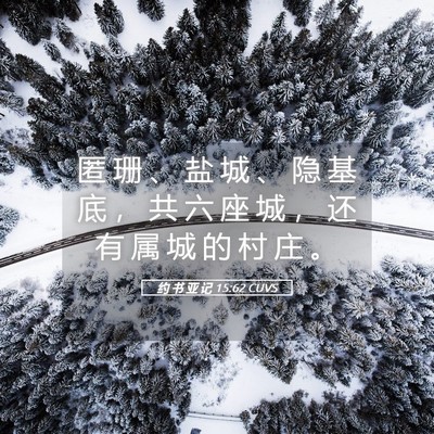 Picture 05 - 约 书 亚 记 15:62 CUVS - 匿 珊 、 盐 城 、 隐 基 底 ， 共 六 - Bible Verse Picture