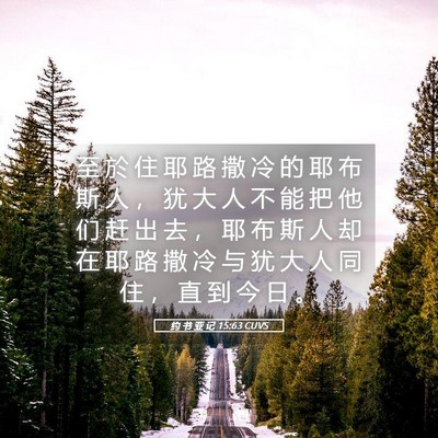 Picture 05 - 约 书 亚 记 15:63 CUVS - 至 於 住 耶 路 撒 冷 的 耶 布 斯 人 - Bible Verse Picture