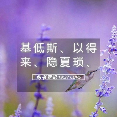 Picture 05 - 约 书 亚 记 19:37 CUVS - 基 低 斯 、 以 得 来 、 隐 夏 琐 - Bible Verse Picture
