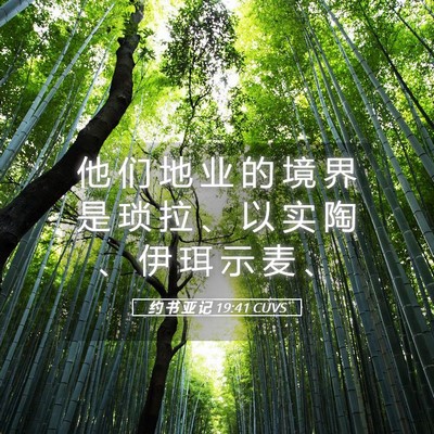 Picture 05 - 约 书 亚 记 19:41 CUVS - 他 们 地 业 的 境 界 是 琐 拉 、 以 - Bible Verse Picture