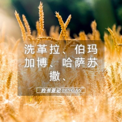 Picture 05 - 约 书 亚 记 19:5 CUVS - 洗 革 拉 、 伯 玛 加 博 、 哈 萨 苏 - Bible Verse Picture