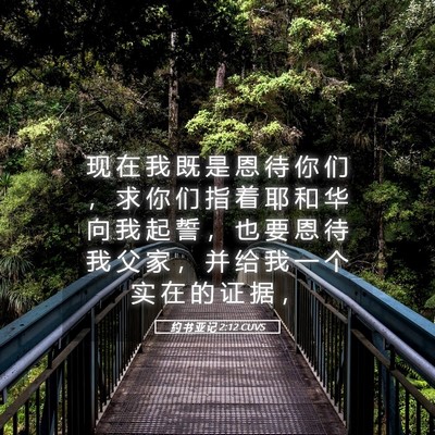 Picture 05 - 约 书 亚 记 2:12 CUVS - 现 在 我 既 是 恩 待 你 们 ， 求 你 - Bible Verse Picture