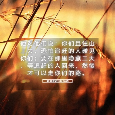 Picture 05 - 约 书 亚 记 2:16 CUVS - 他 对 他 们 说 ： 你 们 且 往 山 上 - Bible Verse Picture