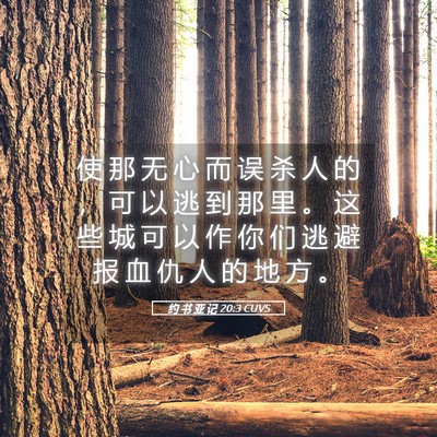 Picture 05 - 约 书 亚 记 20:3 CUVS - 使 那 无 心 而 误 杀 人 的 ， 可 以 - Bible Verse Picture
