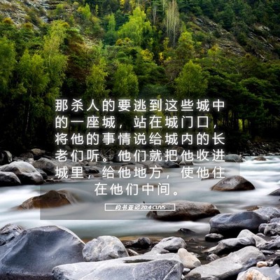 Picture 05 - 约 书 亚 记 20:4 CUVS - 那 杀 人 的 要 逃 到 这 些 城 中 的 - Bible Verse Picture