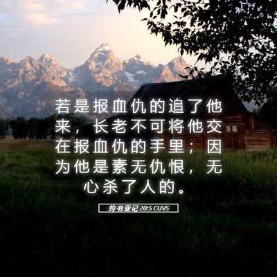 Picture 05 - 约 书 亚 记 20:5 CUVS - 若 是 报 血 仇 的 追 了 他 来 ， 长 - Bible Verse Picture