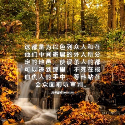 Picture 05 - 约 书 亚 记 20:9 CUVS - 这 都 是 为 以 色 列 众 人 和 在 他 - Bible Verse Picture
