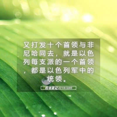 Picture 05 - 约 书 亚 记 22:14 CUVS - 又 打 发 十 个 首 领 与 非 尼 哈 同 - Bible Verse Picture