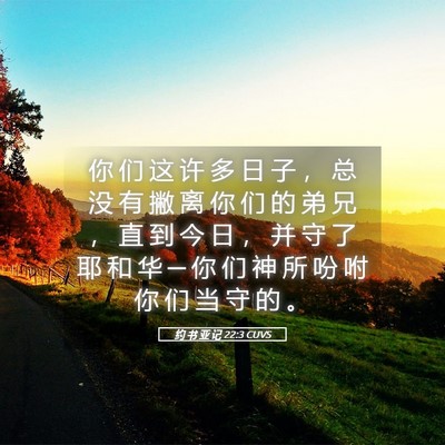 Picture 05 - 约 书 亚 记 22:3 CUVS - 你 们 这 许 多 日 子 ， 总 没 有 撇 - Bible Verse Picture