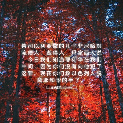 Picture 05 - 约 书 亚 记 22:31 CUVS - 祭 司 以 利 亚 撒 的 儿 子 非 尼 哈 - Bible Verse Picture