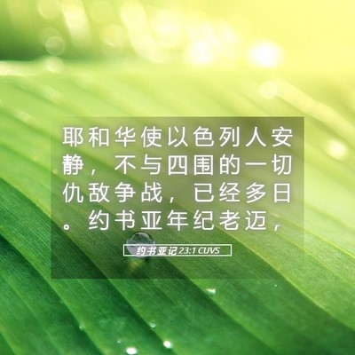 Picture 05 - 约 书 亚 记 23:1 CUVS - 耶 和 华 使 以 色 列 人 安 静 ， 不 - Bible Verse Picture
