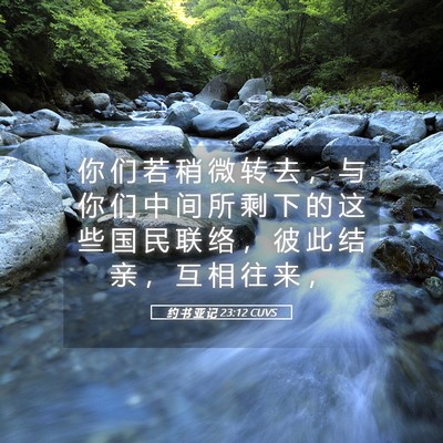 Picture 05 - 约 书 亚 记 23:12 CUVS - 你 们 若 稍 微 转 去 ， 与 你 们 中 - Bible Verse Picture