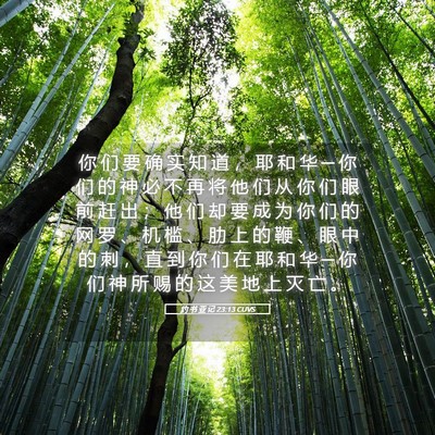 Picture 05 - 约 书 亚 记 23:13 CUVS - 你 们 要 确 实 知 道 ， 耶 和 华 ─ - Bible Verse Picture
