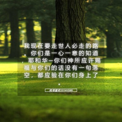 Picture 05 - 约 书 亚 记 23:14 CUVS - 我 现 在 要 走 世 人 必 走 的 路 。 - Bible Verse Picture