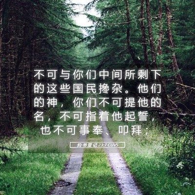 Picture 05 - 约 书 亚 记 23:7 CUVS - 不 可 与 你 们 中 间 所 剩 下 的 这 - Bible Verse Picture