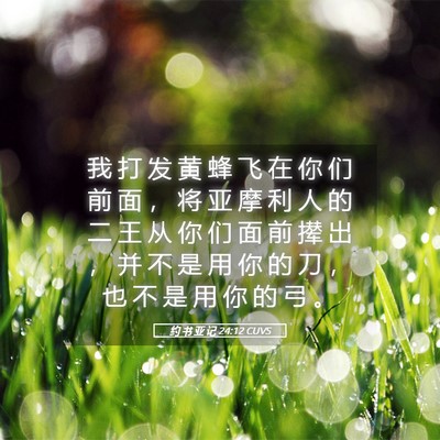Picture 05 - 约 书 亚 记 24:12 CUVS - 我 打 发 黄 蜂 飞 在 你 们 前 面 ， - Bible Verse Picture