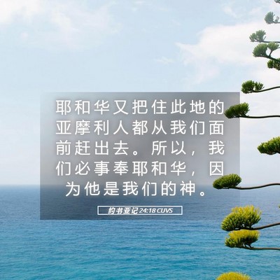 Picture 05 - 约 书 亚 记 24:18 CUVS - 耶 和 华 又 把 住 此 地 的 亚 摩 利 - Bible Verse Picture