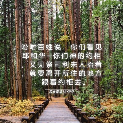 Picture 05 - 约 书 亚 记 3:3 CUVS - 吩 咐 百 姓 说 : 你 们 看 见 耶 和 - Bible Verse Picture