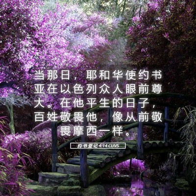 Picture 05 - 约 书 亚 记 4:14 CUVS - 当 那 日 ， 耶 和 华 使 约 书 亚 在 - Bible Verse Picture