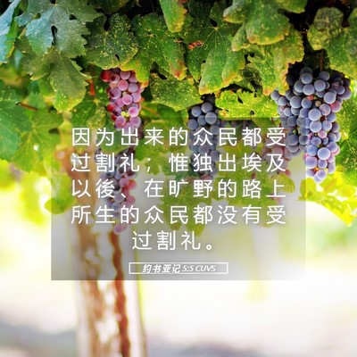 Picture 05 - 约 书 亚 记 5:5 CUVS - 因 为 出 来 的 众 民 都 受 过 割 礼 - Bible Verse Picture
