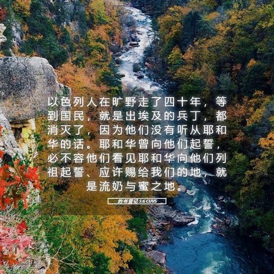 Picture 05 - 约 书 亚 记 5:6 CUVS - 以 色 列 人 在 旷 野 走 了 四 十 年 - Bible Verse Picture