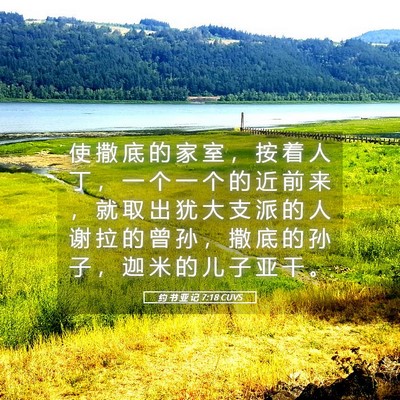 Picture 05 - 约 书 亚 记 7:18 CUVS - 使 撒 底 的 家 室 ， 按 着 人 丁 ， - Bible Verse Picture