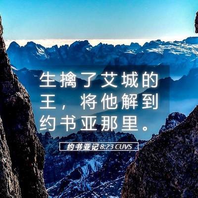 Picture 05 - 约 书 亚 记 8:23 CUVS - 生 擒 了 艾 城 的 王 ， 将 他 解 到 - Bible Verse Picture