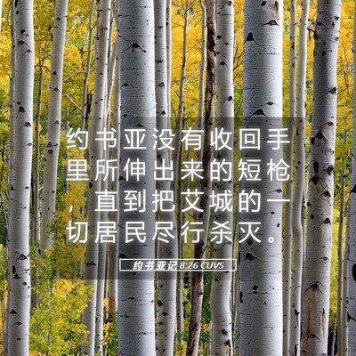 Picture 05 - 约 书 亚 记 8:26 CUVS - 约 书 亚 没 有 收 回 手 里 所 伸 出 - Bible Verse Picture